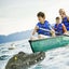 Remote Control Boat Carousel 5