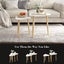 Wood Coffee Table Set 2 Nest Sofa Bed Side Dining Nightstand Cocktail Tea Cafe Carousel 6