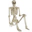Loading Image 2 of 7