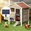 Auto Chicken Coop Door Opener Carousel 5