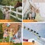 Digital Camera Carousel 10