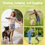 Interactive Flirt Toy Pole Dog Cat Play Wand Retractable Agility Training Stick Carousel 4
