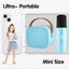 Portable Bluetooth Speaker with Wireless Microphone Carousel 4