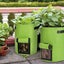 NEW NEW Potato Grow Bag - NEW *IN STOCK* Carousel 10