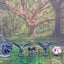 Cute Critters Animal Miniatures Set Dungeons and Dragons dice4dungeons SCHLOSS Carousel 14