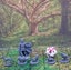 Cute Critters Animal Miniatures Set Dungeons and Dragons dice4dungeons SCHLOSS Carousel 11