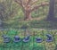 Cute Critters Animal Miniatures Set Dungeons and Dragons dice4dungeons SCHLOSS Carousel 10
