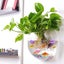 Fish Tank Humidifier Cleaner Carousel 7