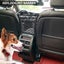 Dog Car Barrier 3 Layer,Backseat Barrier for Dogs,Purse Holder for Car Carousel 6