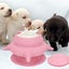 Puppy Pet Dog Feeder 240ml Silicone Puppy Milk Feeder Bow Pink Carousel 4