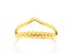 Open Design Gold-Plated Titanium Band Carousel 2