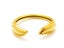 Open Design Gold-Plated Titanium Band Carousel 1