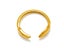 Open Design Gold-Plated Titanium Band Carousel 3