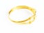 Open Design Gold-Plated Titanium Band Carousel 4