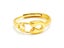 Open Design Gold-Plated Titanium Band Carousel 1