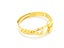 Open Design Gold-Plated Titanium Band Carousel 2