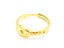 Open Design Gold-Plated Titanium Band Carousel 3