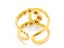 Open Design Gold-Plated Titanium Band Carousel 4