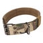 pet dog collar buckle dog collar Adjustable Dog Collar Double Row Metal Buckles Carousel 4
