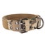 pet dog collar buckle dog collar Adjustable Dog Collar Double Row Metal Buckles Carousel 5