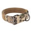 pet dog collar buckle dog collar Adjustable Dog Collar Double Row Metal Buckles Carousel 6