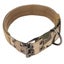 pet dog collar buckle dog collar Adjustable Dog Collar Double Row Metal Buckles Carousel 7