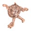 Loading Image 1 of 8