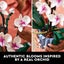 Artificial Orchids Flowers Silk Fake Orchids Flowers In Bulk Flowers Carousel 3