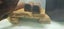 Sandstone Rocks stones for fish tank aquarium aquascaping rock stone garden Carousel 7