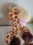 TOMMY TIPPEE GIRAFFE SOFT TOY, IN VERY GOOD CONDITION Carousel 6