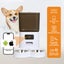 Pawz 5L Automatic Pet Feeder Double Bowl Dog Cat Auto Smart Food Dispenser Timer Carousel 3