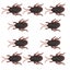 Loading Image 1 of 8