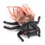 children cicada model funny cicada model cicada model decoration Cicada Insect Carousel 3