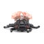 children cicada model funny cicada model cicada model decoration Cicada Insect Carousel 6