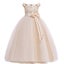 4-5-6-7-8-9-10 11-12-13-14y EXQUISITE Champagne -- dress Carousel 3