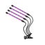 Loading Image 1 of 6