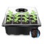 12 Packs Seed Starter Kit | Free Shipping | Local Stock Carousel 1