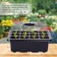 12 Packs Seed Starter Kit | Free Shipping | Local Stock Carousel 3