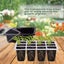 12 Packs Seed Starter Kit | Free Shipping | Local Stock Carousel 4