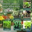 12 Packs Seed Starter Kit | Free Shipping | Local Stock Carousel 5