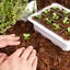 12 Packs Seed Starter Kit | Free Shipping | Local Stock Carousel 6