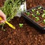 12 Packs Seed Starter Kit | Free Shipping | Local Stock Carousel 8