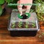 12 Packs Seed Starter Kit | Free Shipping | Local Stock Carousel 9