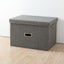 2Pack Foldable Storage Box 44x29x30cm | Free Shipping | Local Stock Carousel 1