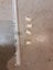 Curtain Rail (Track) and brackets 4340 long Carousel 2