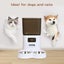 Pawz 5L Automatic Pet Feeder Double Bowl Dog Cat Auto Smart Food Dispenser Timer Carousel 4