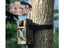 New Hunting Trail Camera on Afterpay Carousel 3