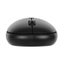 Targus Compact Multi-Device Dual Mode Antimicrobial Wireless Mouse Carousel 5