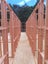PINE CEILING STRAPPING - H1.2 - 65 x 35mm - 259m - TS7015 Carousel 12