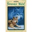 Janlynn Cross Stitch Kit: Wolf Carousel 1